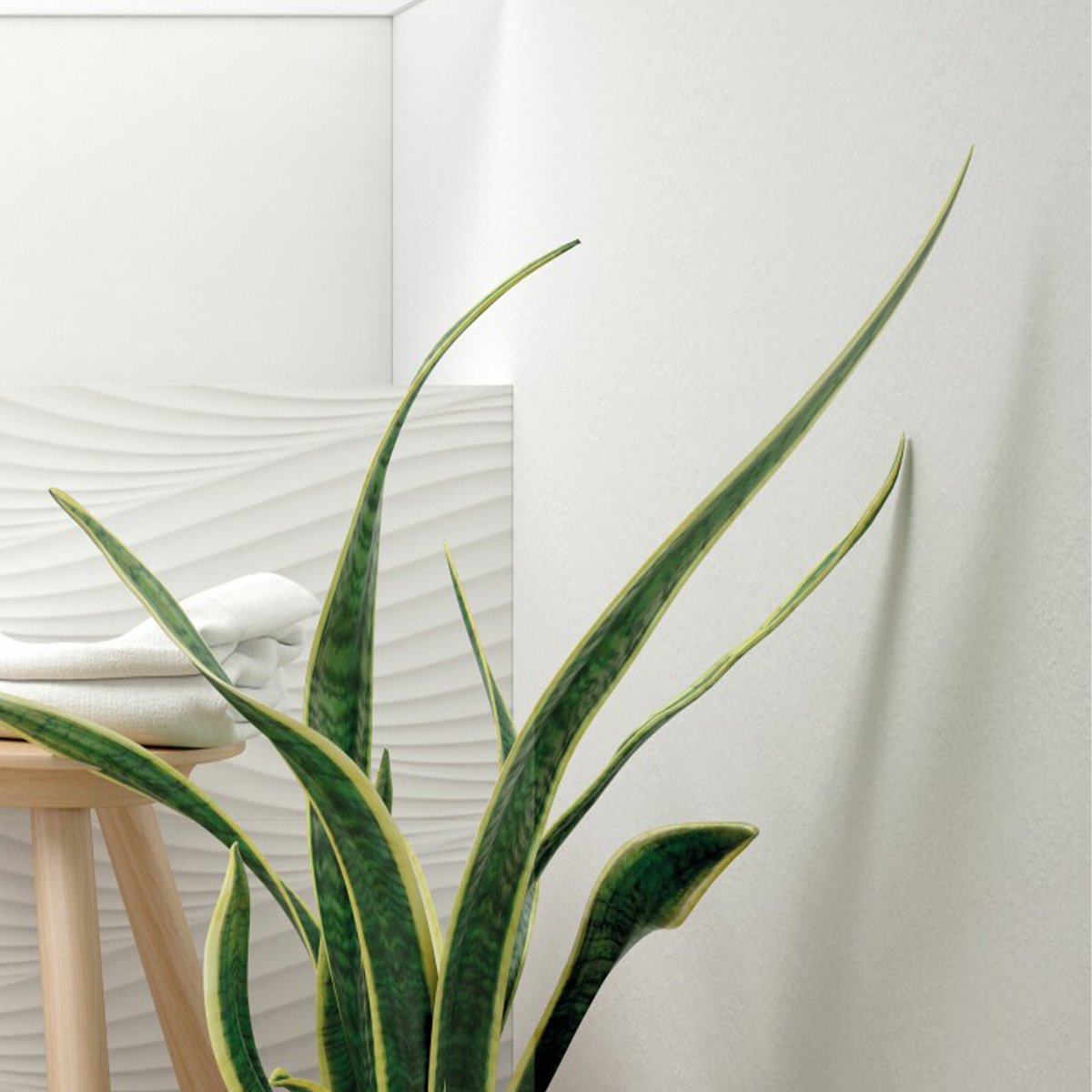 Earth White Matt Ceramic Tile 320x900mm