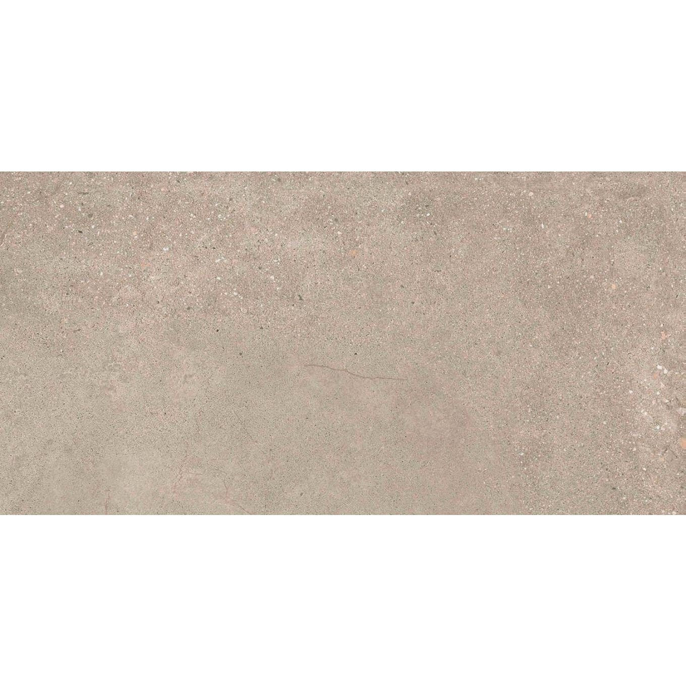 Hamburg Greige Matt Porcelain Tile 300x600mm