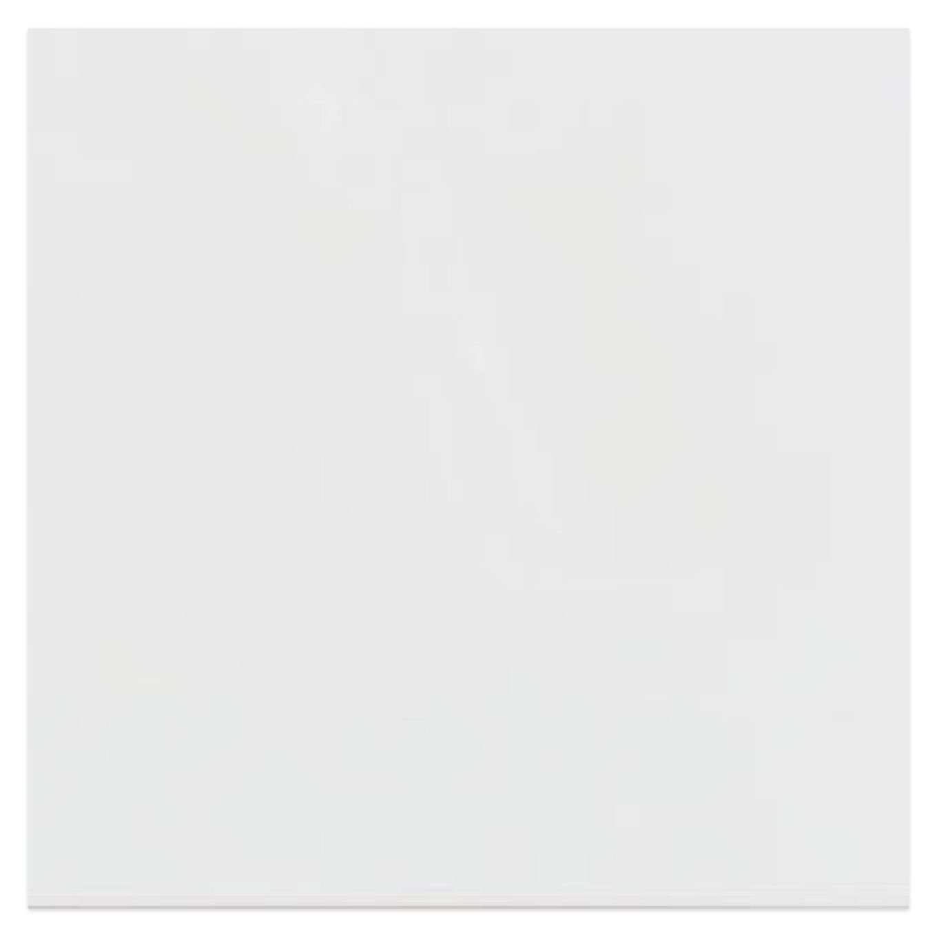 Blanco White Matt Ceramic Wall Tile 200x200mm