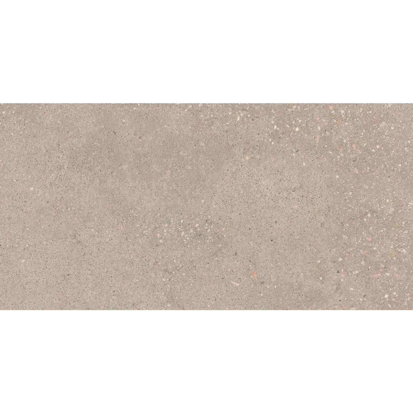 Hamburg Greige Matt Porcelain Tile 300x600mm