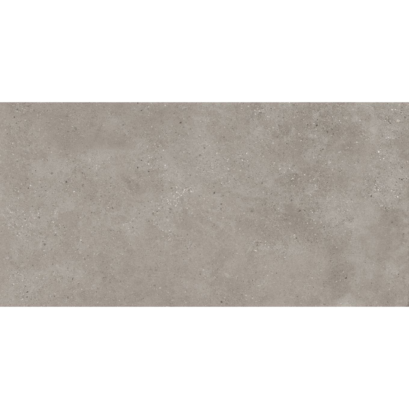Brooks Dark Grey Matt Porcelain Tile 1200x600mm