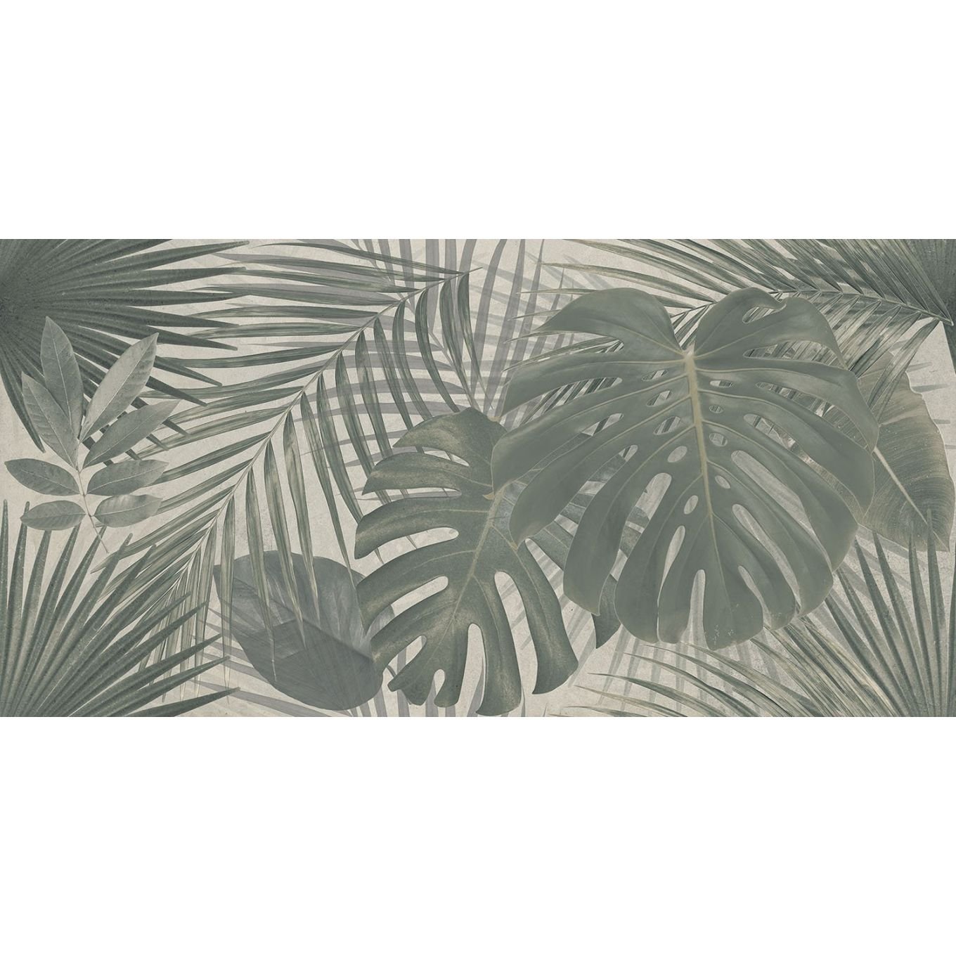 Bonito Jungle Matt Porcelain Tile 1200x600mm