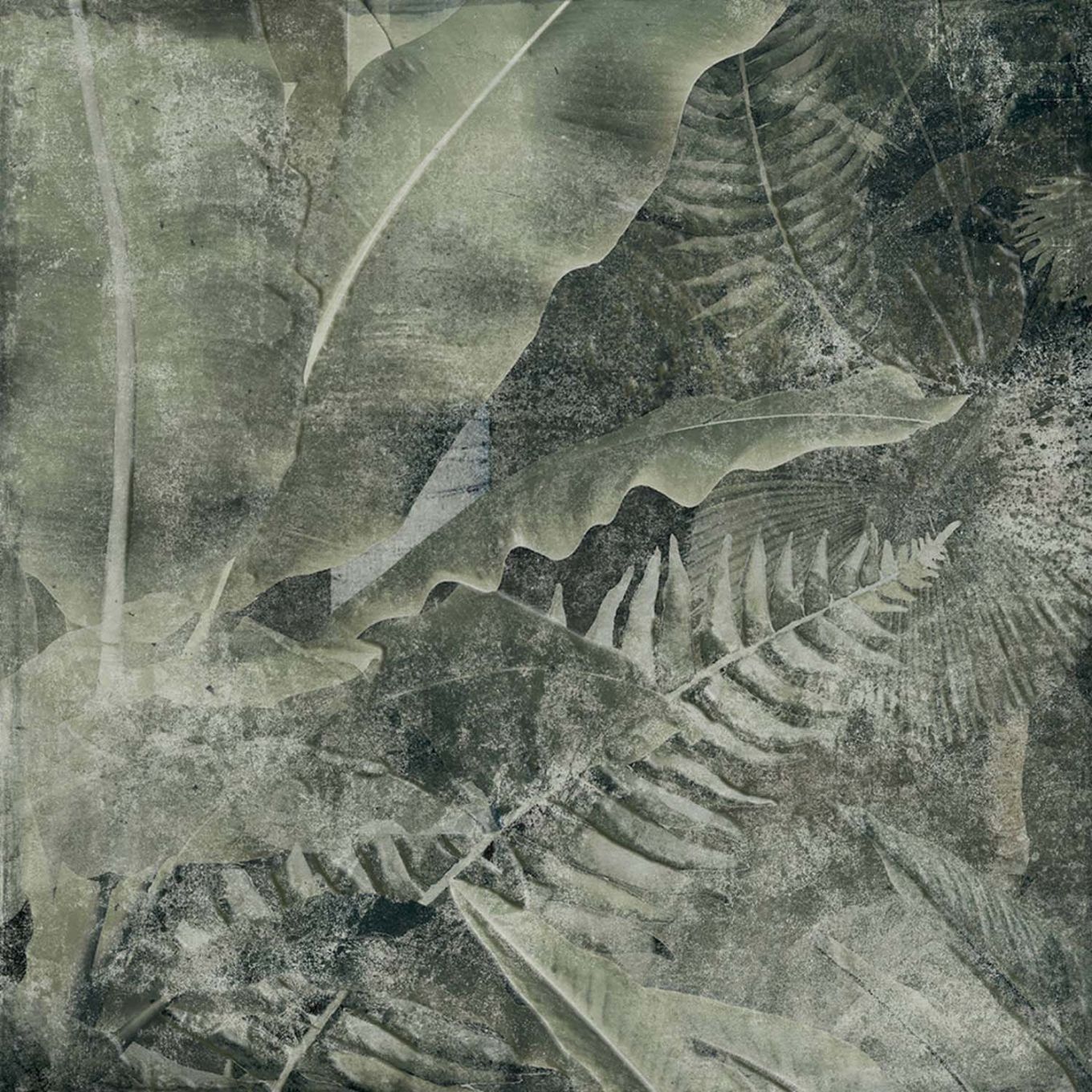 Algarve Green Tropical Patterned Lappato Porcelain Tile 250x250mm