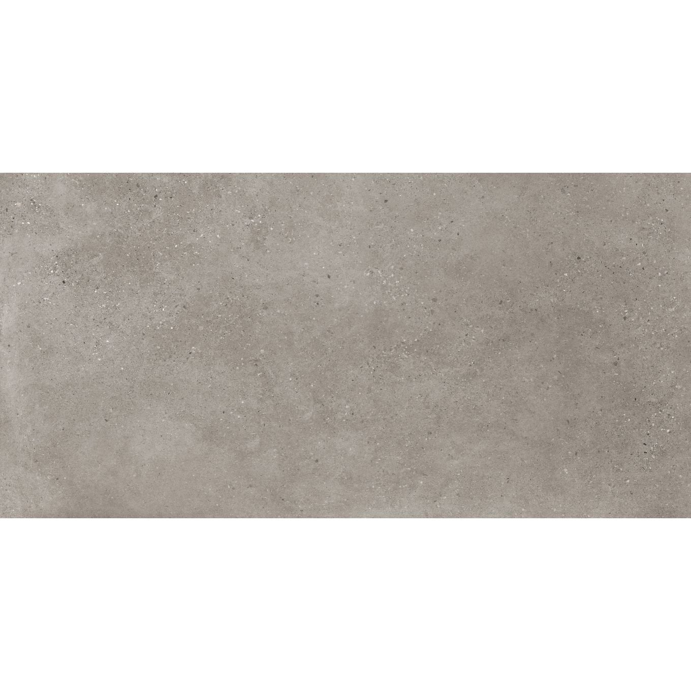 Brooks Dark Grey Matt Porcelain Tile 1200x600mm