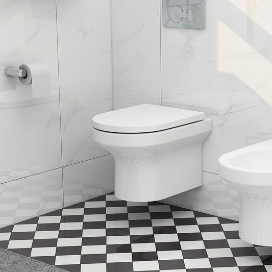 Alma Rimless Wall Hung Pan