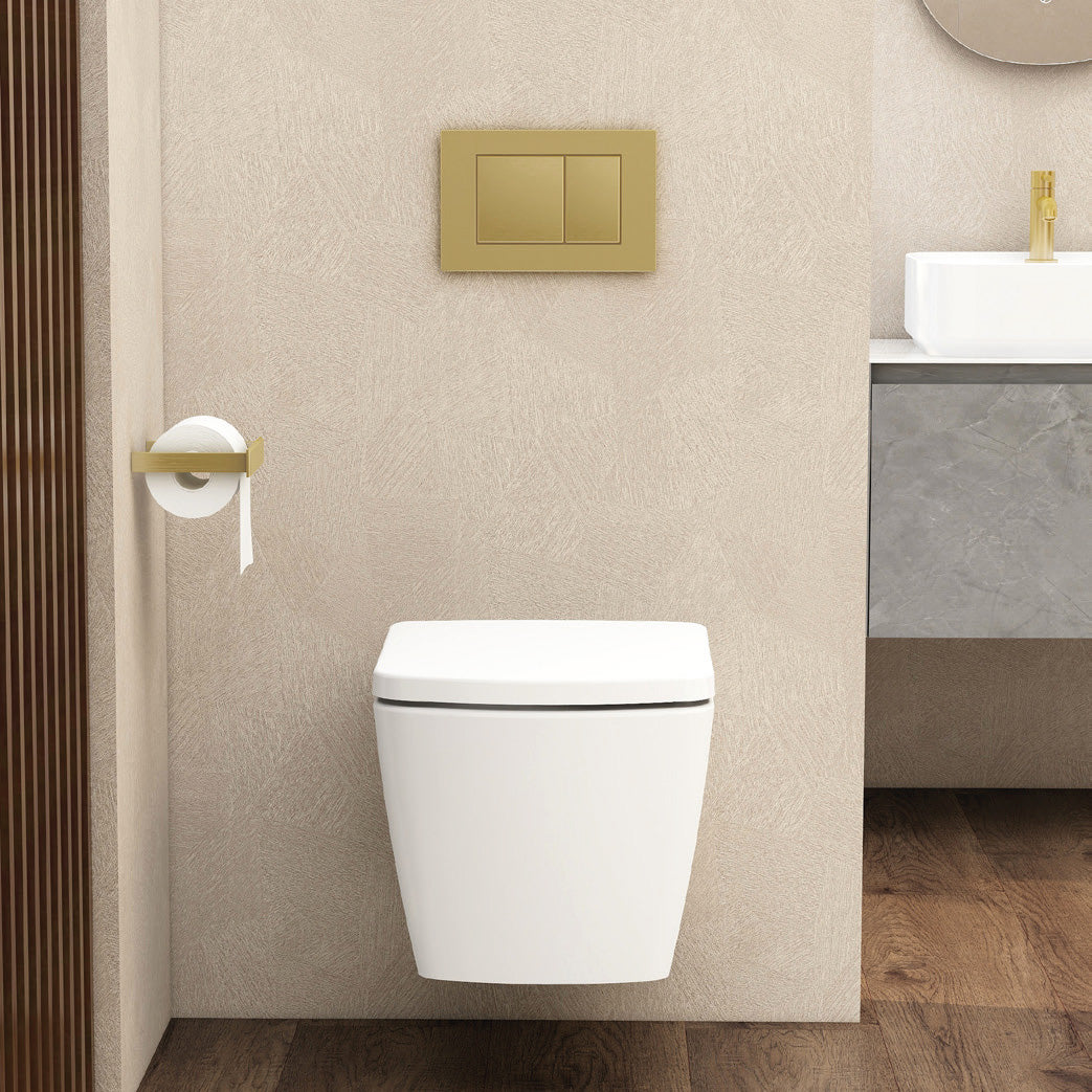 Ravine Rimless Wall Hung Pan