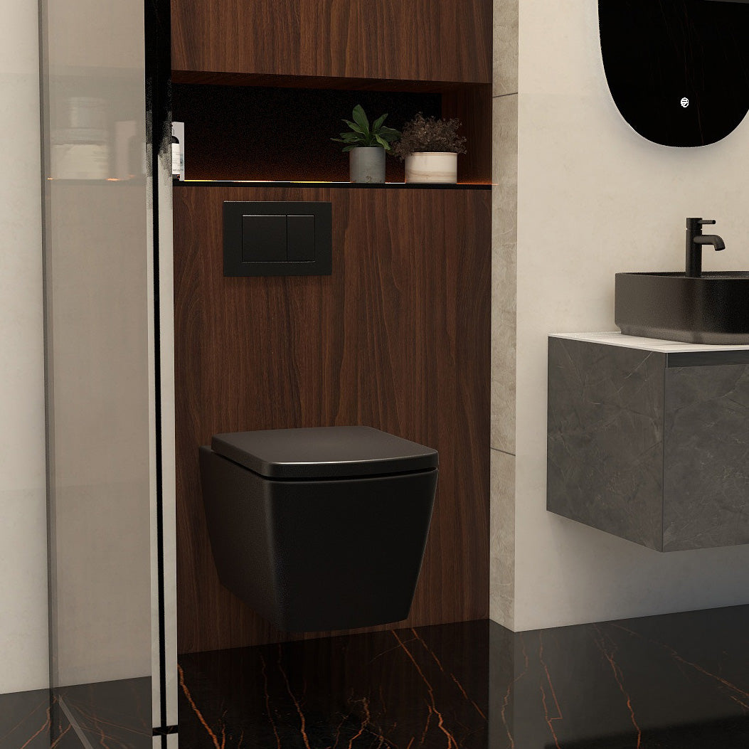 Ravine Rimless Wall Hung Pan in Black