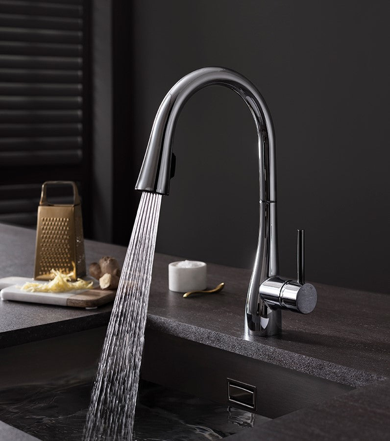 Cook Side Lever Kitchen Mixer with Concealed Dual Function Spray