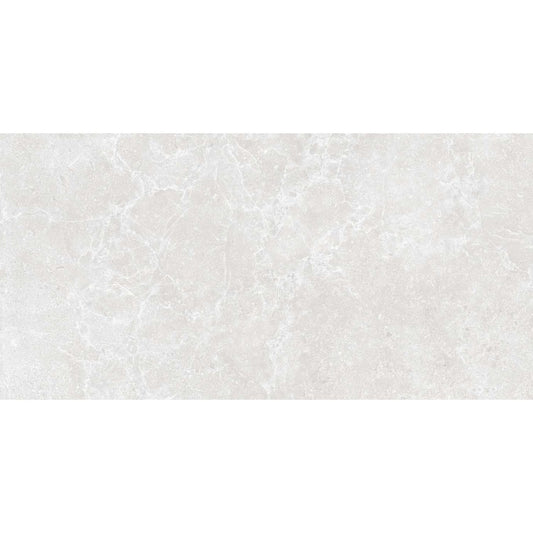 Houston Matt White Porcelain Tile 600x298mm