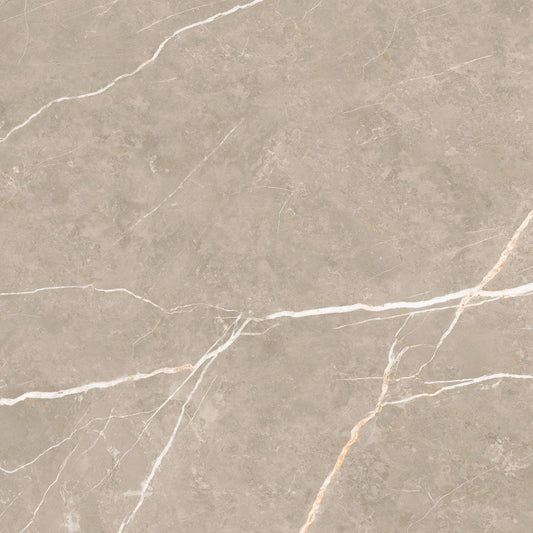 Enigma Greige Matt Porcelain Tile 900x900mm
