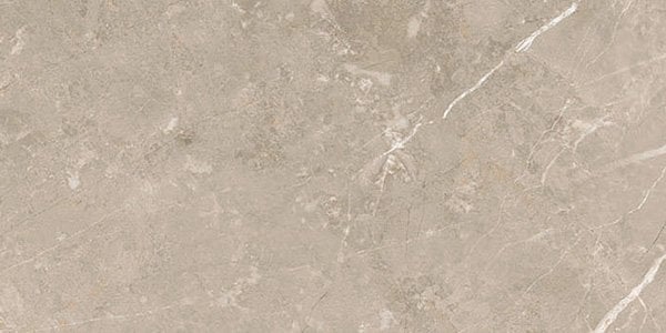 Enigma Greige Polished Porcelain Tile 300x600mm
