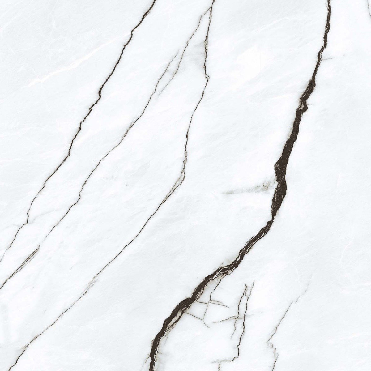 Marquis White Marble Gloss Porcelain Tile 1200x1200mm
