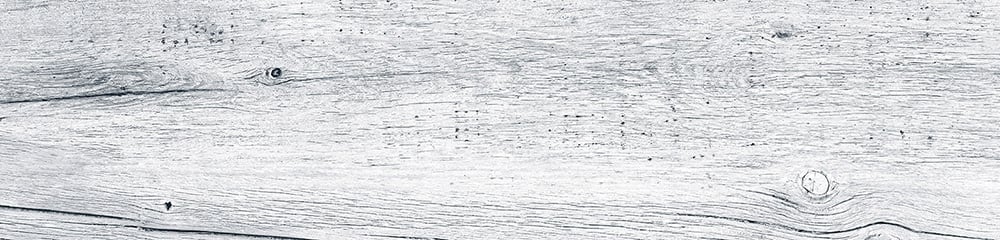 Myst White Gloss Wood Effect Porcelain Tile 235x980mm