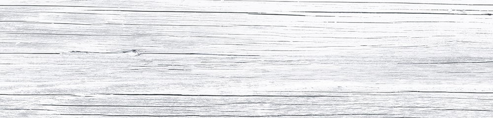 Myst White Gloss Wood Effect Porcelain Tile 235x980mm