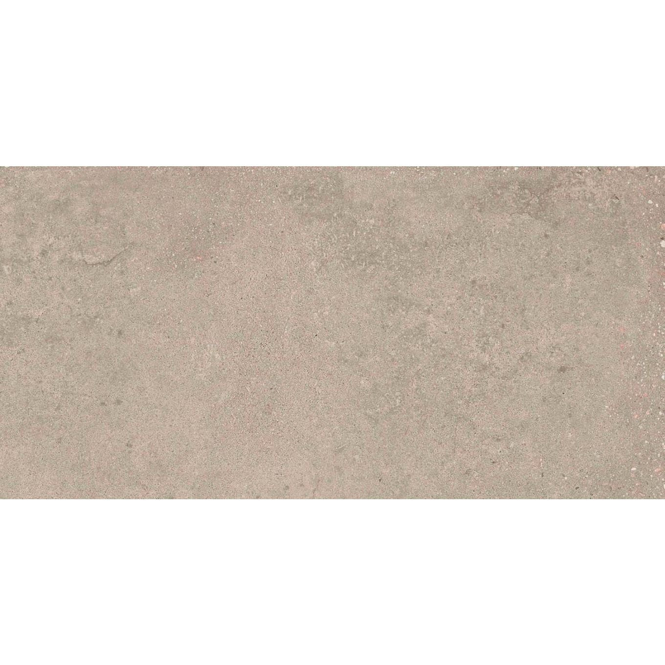 Hamburg Greige Matt Porcelain Tile 300x600mm