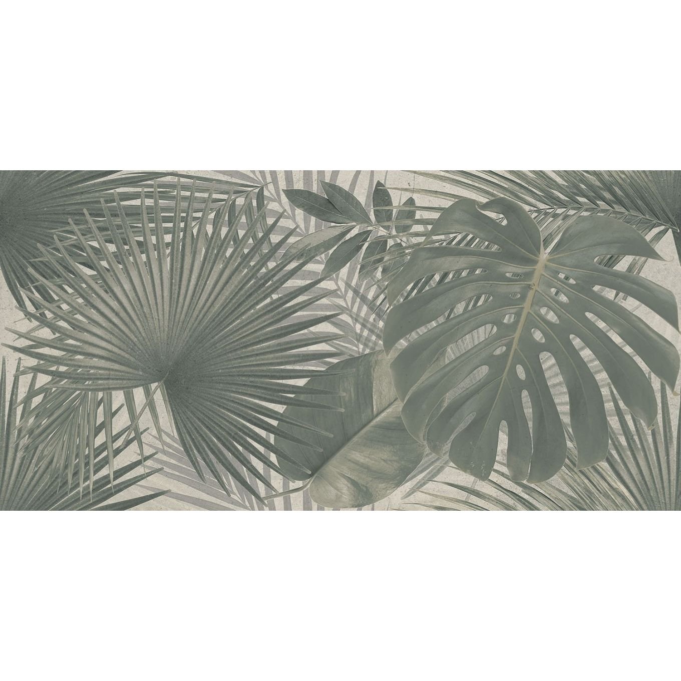 Bonito Jungle Matt Porcelain Tile 1200x600mm