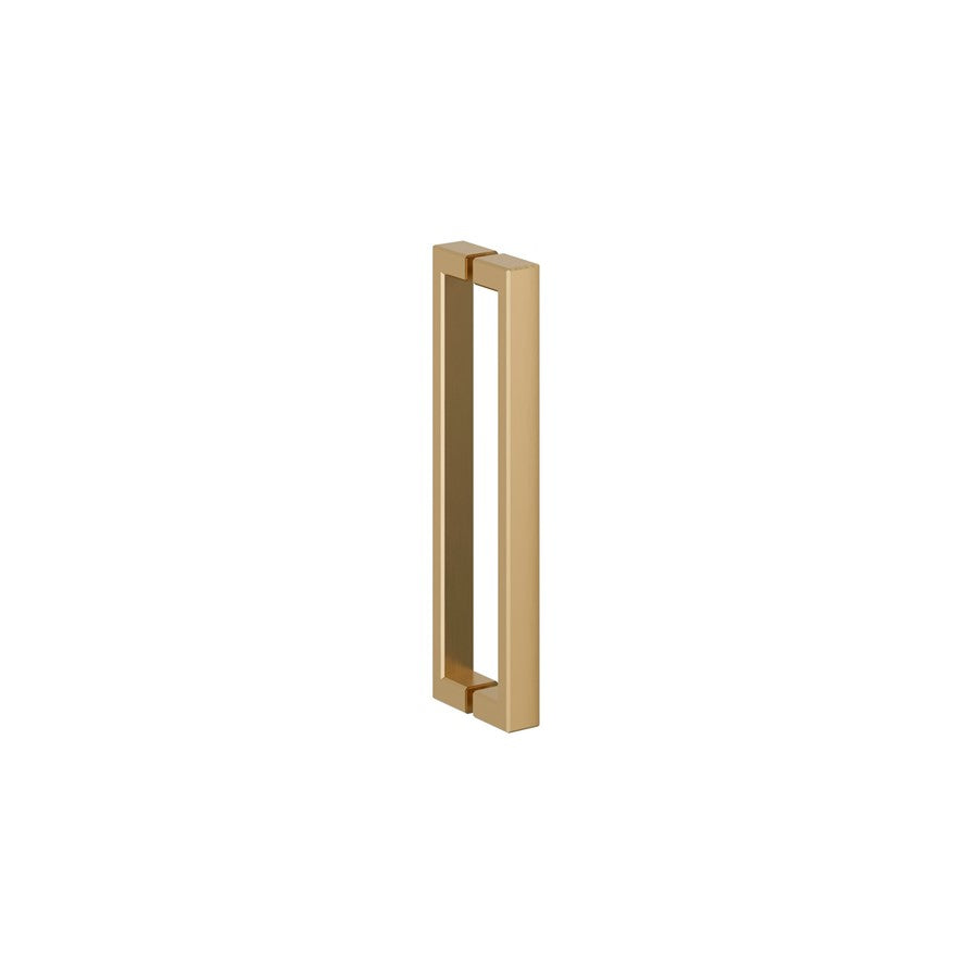 Asura 8mm Hinged Door