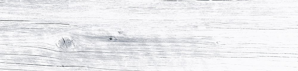Myst White Gloss Wood Effect Porcelain Tile 235x980mm