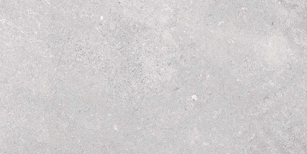 Arundel Light Grey Matt Porcelain Tile 500x1000mm