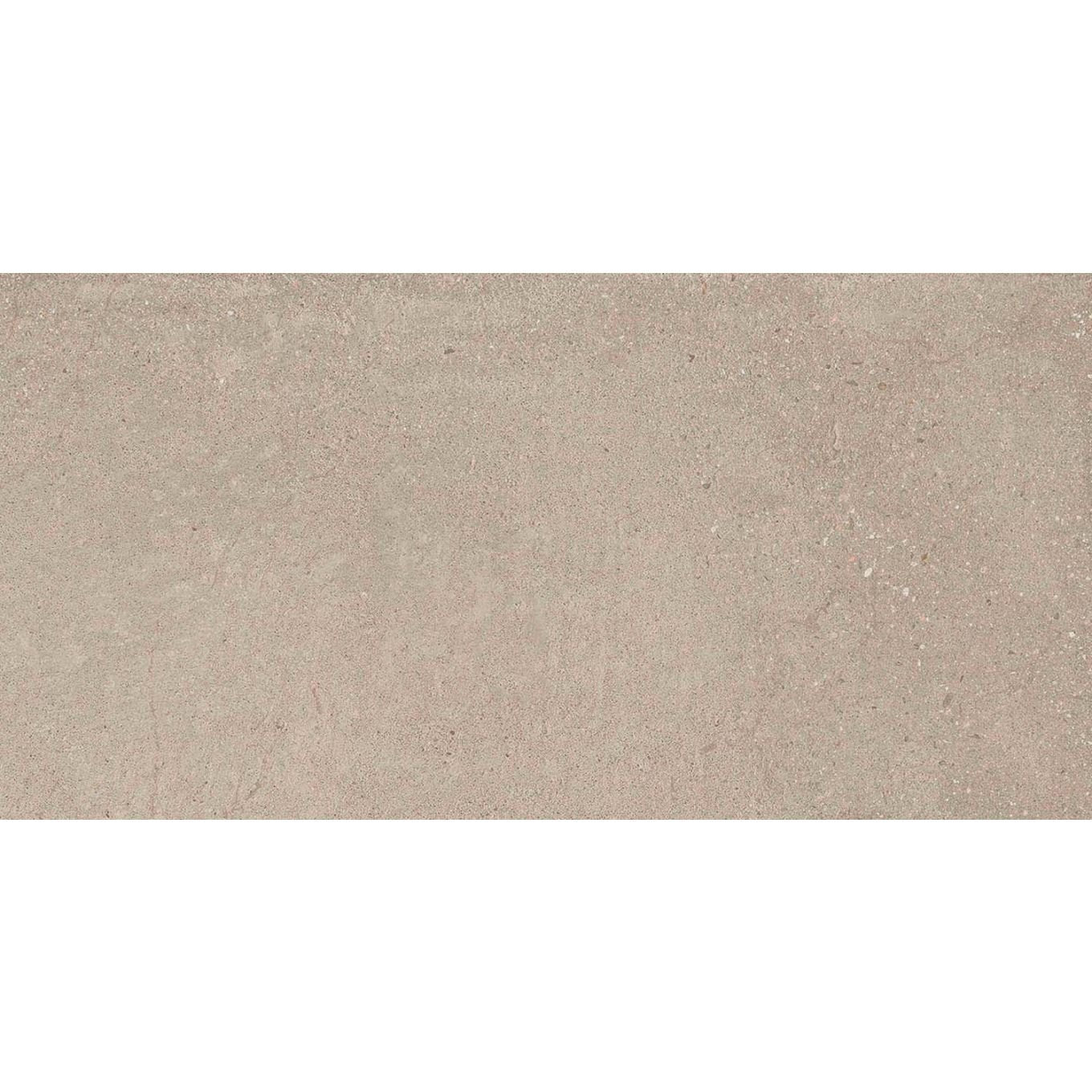 Hamburg Greige Matt Porcelain Tile 300x600mm