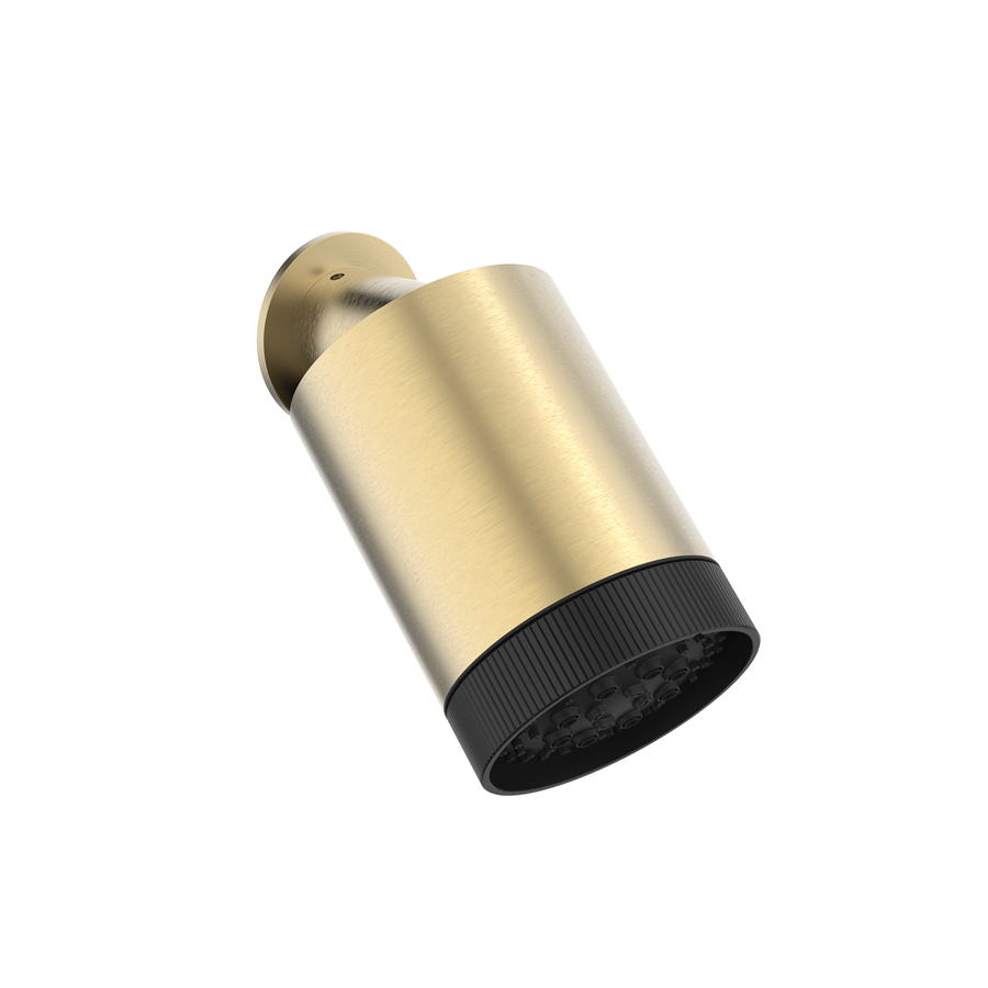 Revive Multi Mode Showerhead