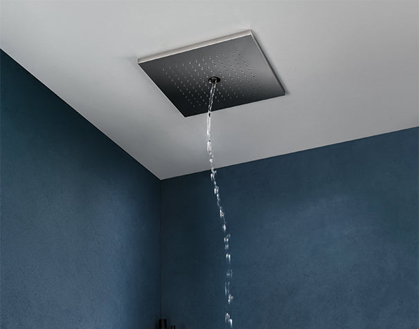 Revive Twist Shower Head