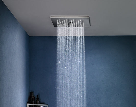 Revive Twist Shower Head