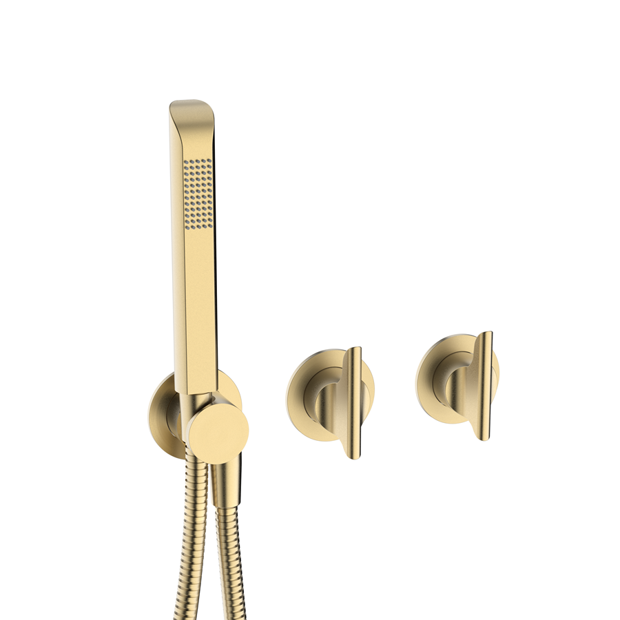 Foile Module 3 Outlet 2 Handle Shower Valve & Handset