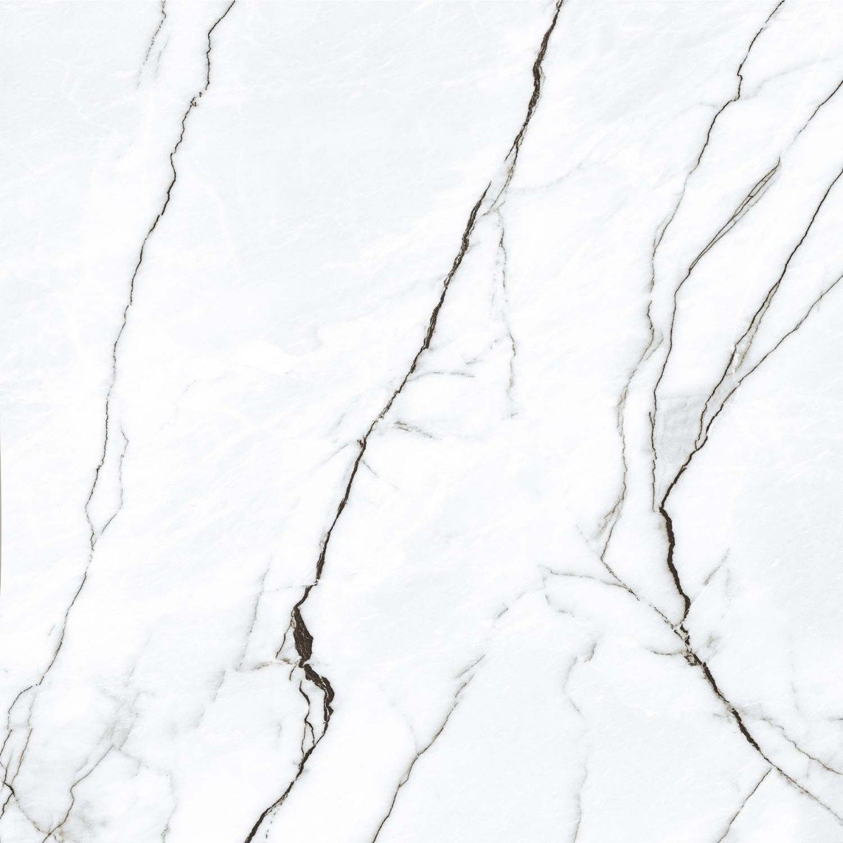 Marquis White Marble Gloss Porcelain Tile 1200x1200mm
