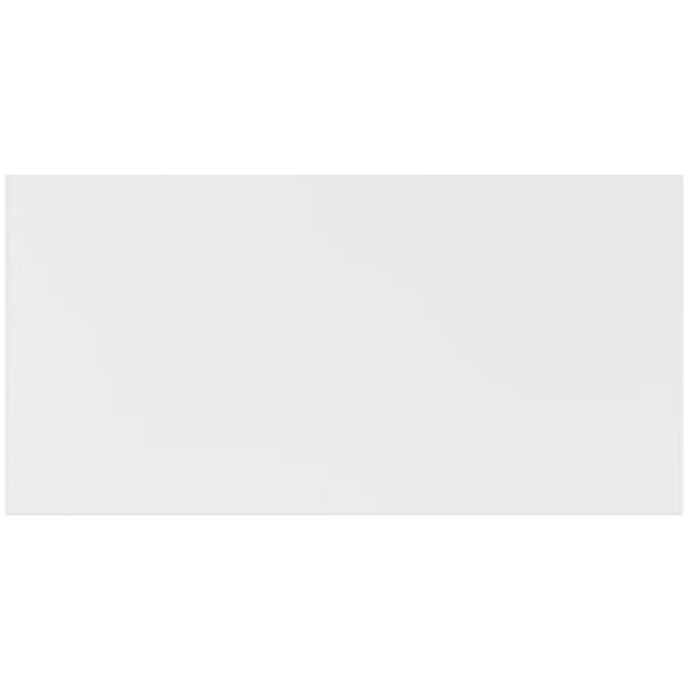 Blanco White Matt Ceramic Wall Tile 250X500mm
