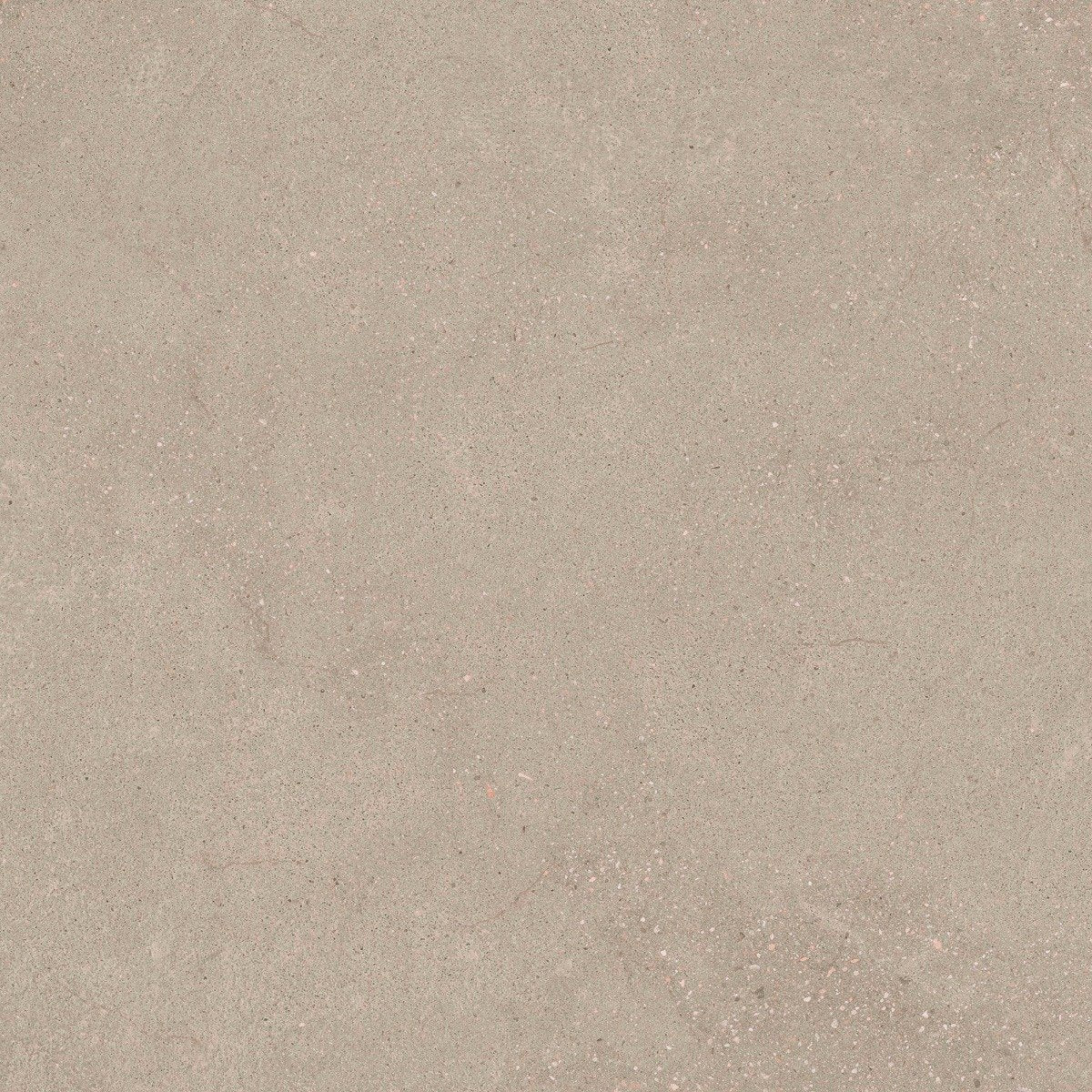 Hamburg Greige Outdoor Porcelain Tile 900x900mm