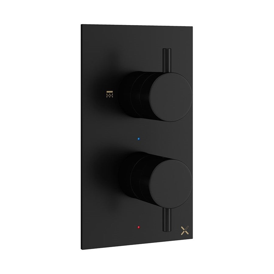 MPRO 2 Outlet 2 Handle Concealed Thermostatic Shower Valve