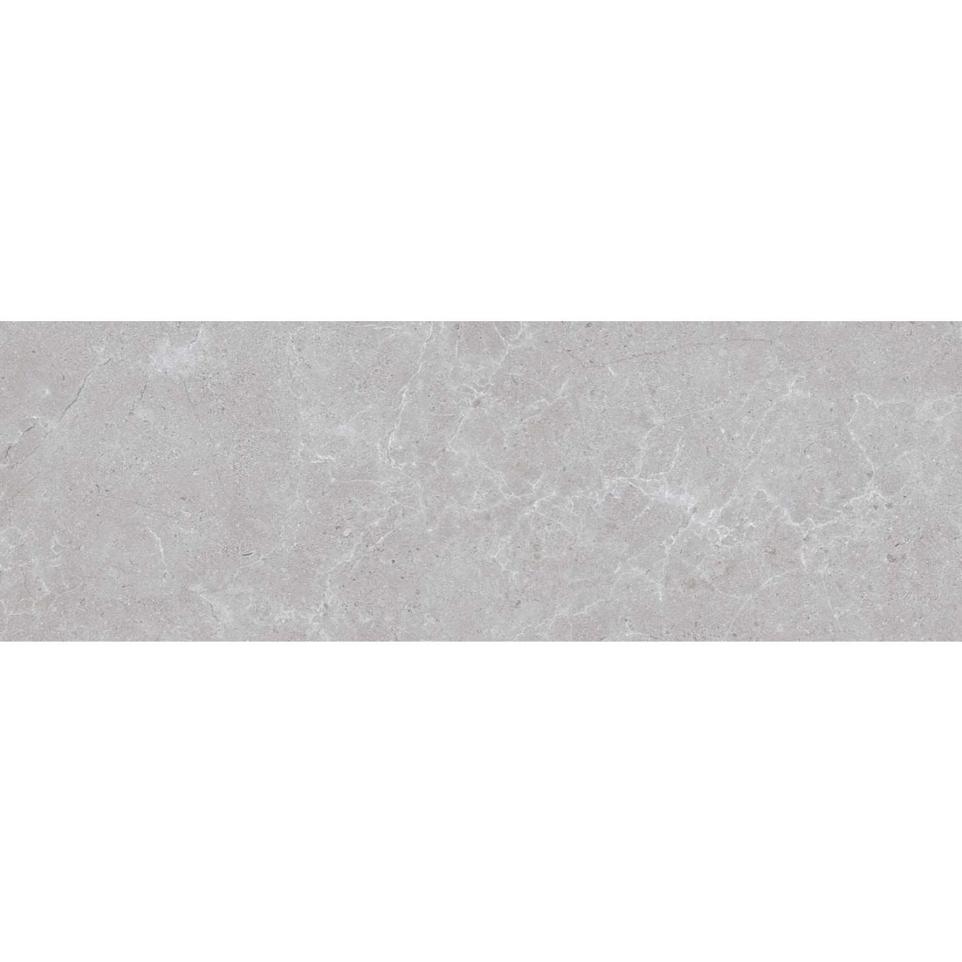 Houston Matt Grey Ceramic Tile 1200x400mm
