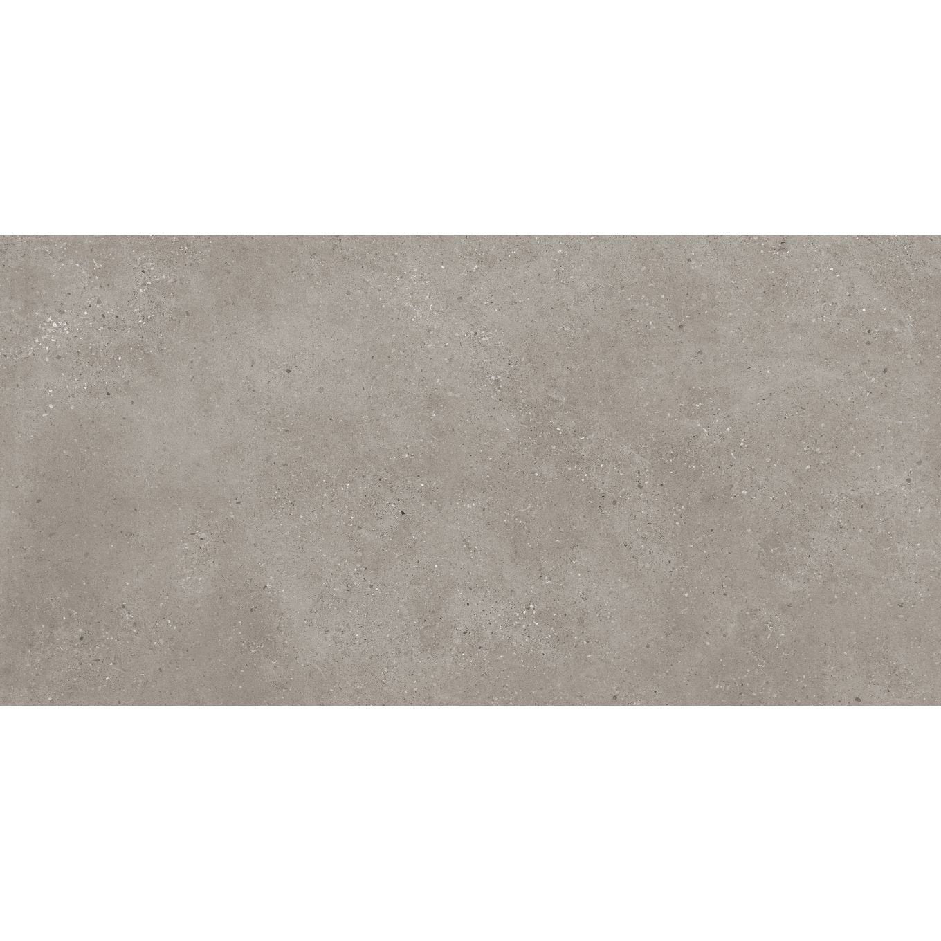 Brooks Dark Grey Matt Porcelain Tile 1200x600mm