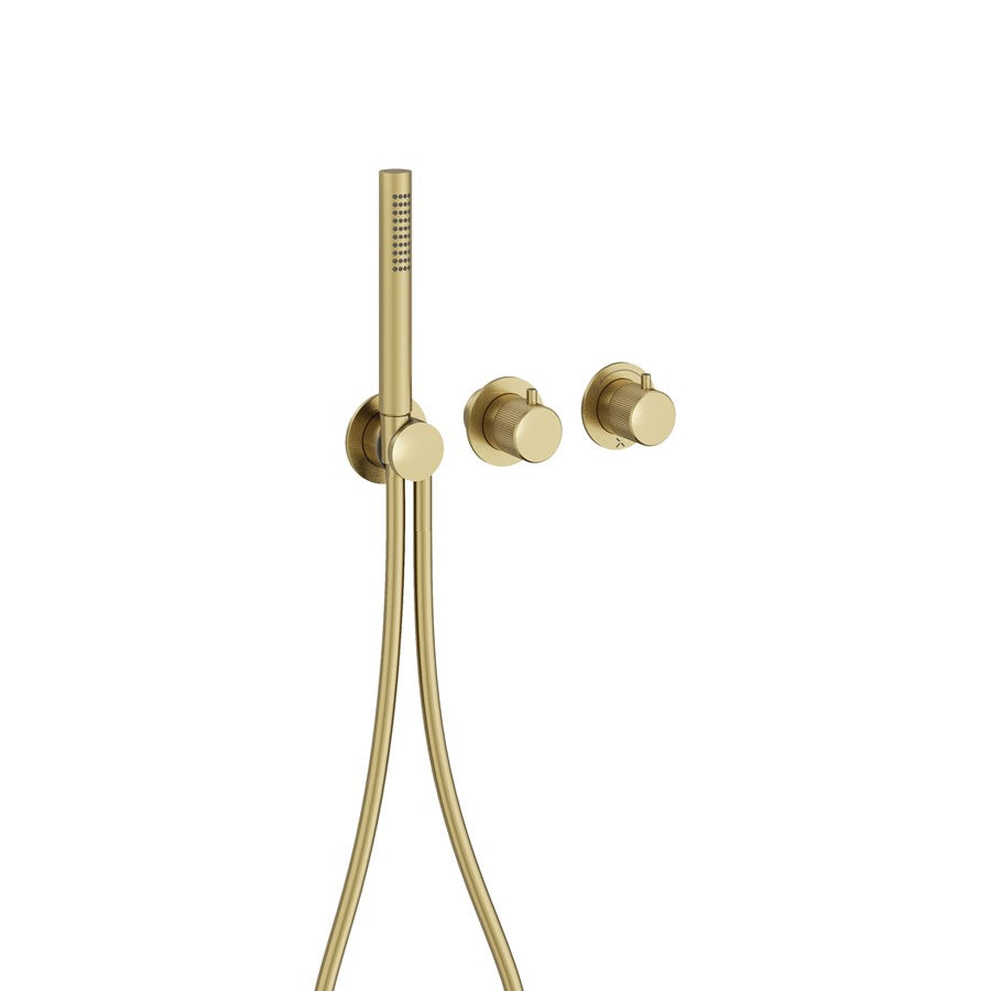 Module 3ONE6 2 Control with Handshower