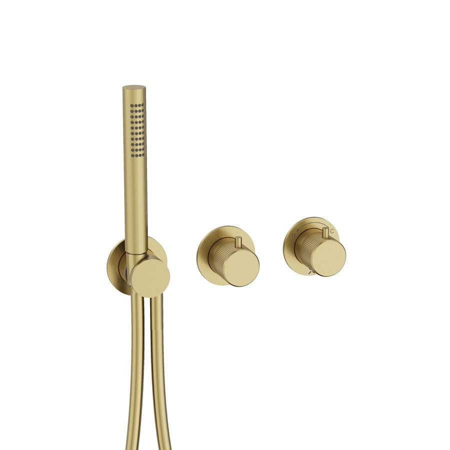 Module 3ONE6 2 Control with Handshower