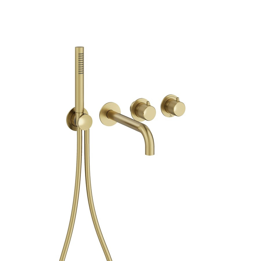 Module 3ONE6 2 Control with Bath Spout & Handshower