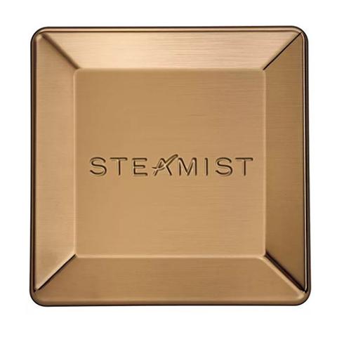 Steamist 9kw Steam Generator with Controller and Brushed Gold Steam Outlet