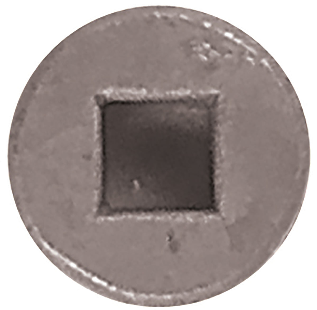 Carpenters Mate 63mm Deck Screw