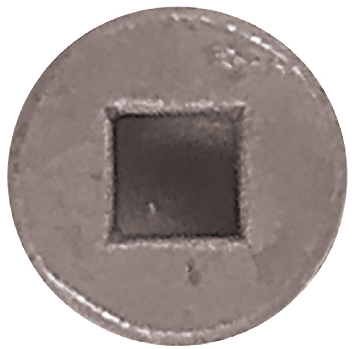 Carpenters Mate 90mm Deck Screw