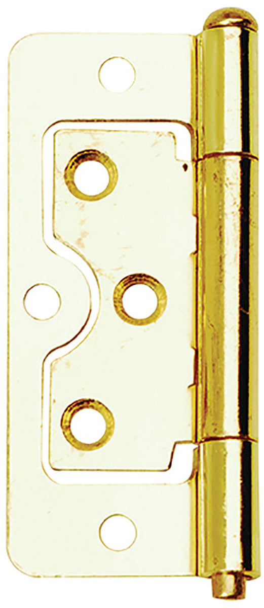Flush Hinges Brass Plated 50mm Pack 2