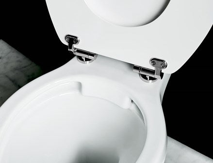 Rimless Close Coupled WC with 520 Lever Cistern