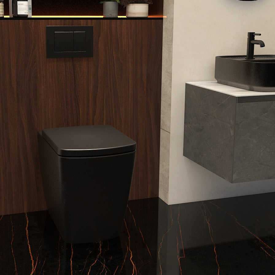 Ravine Rimless Comfort Height Back to Wall Pan in Black