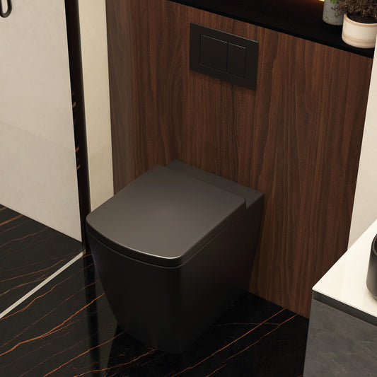 Ravine Rimless Comfort Height Back to Wall Pan in Black