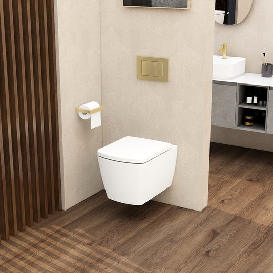 Ravine Rimless Wall Hung Pan