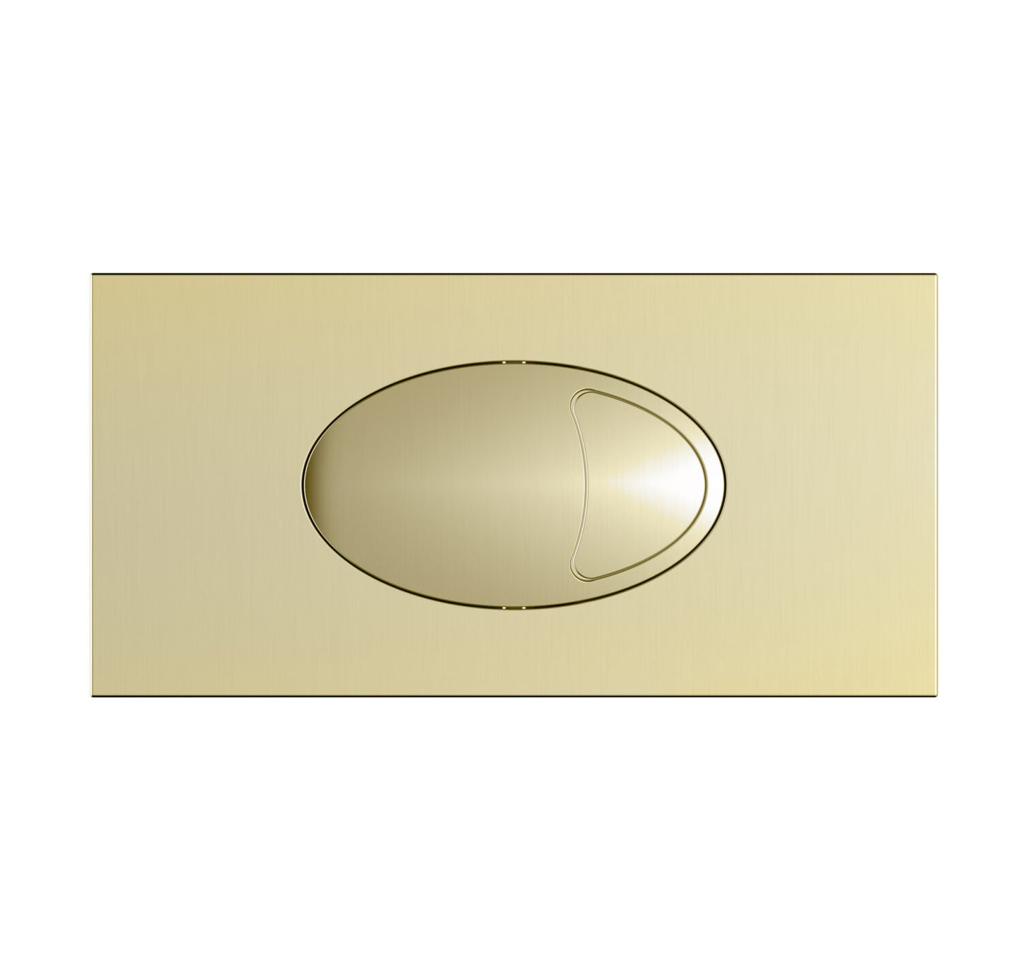 Large Dual Flush Plate & Access Panel 240x120mm