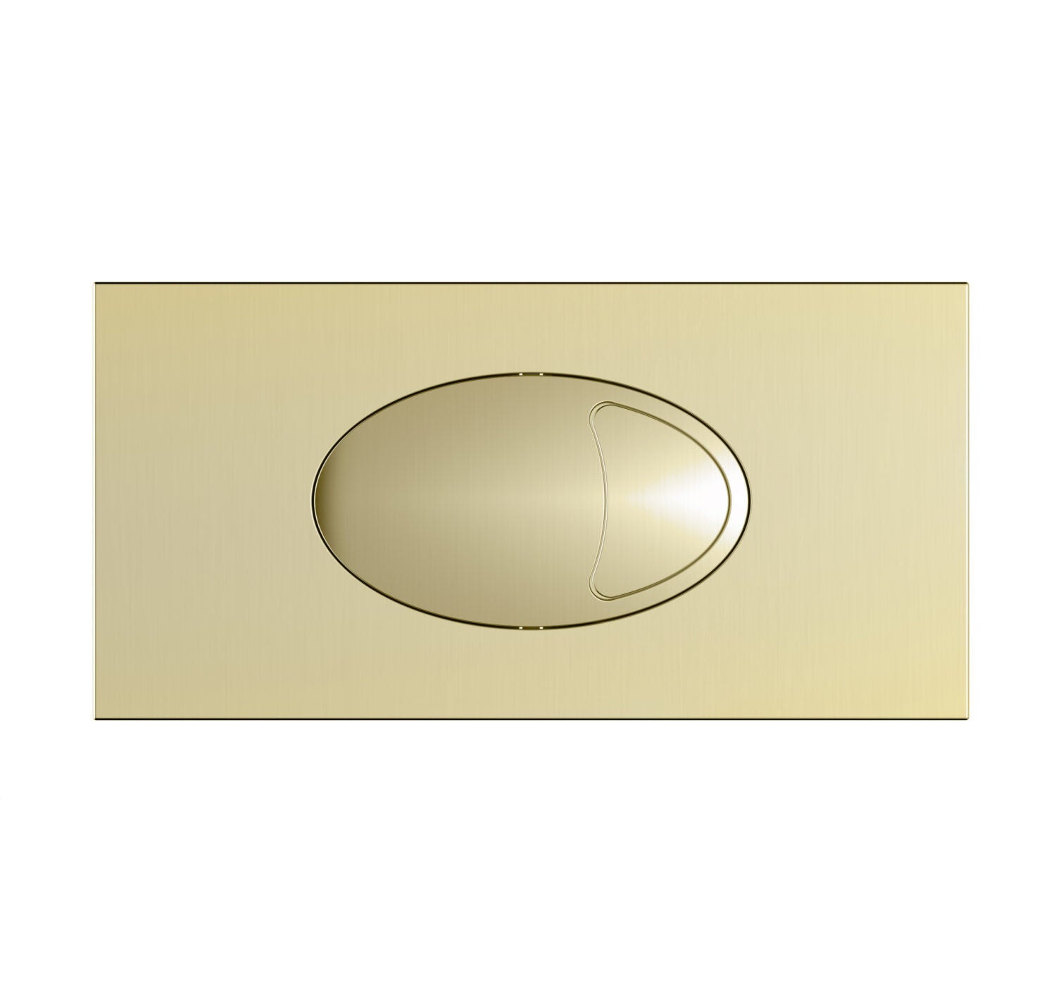 Large Dual Flush Plate & Access Panel 240x120mm