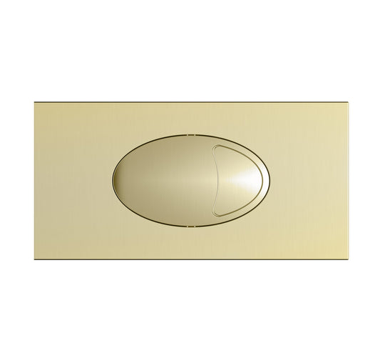 Large Dual Flush Plate & Access Panel 240x120mm