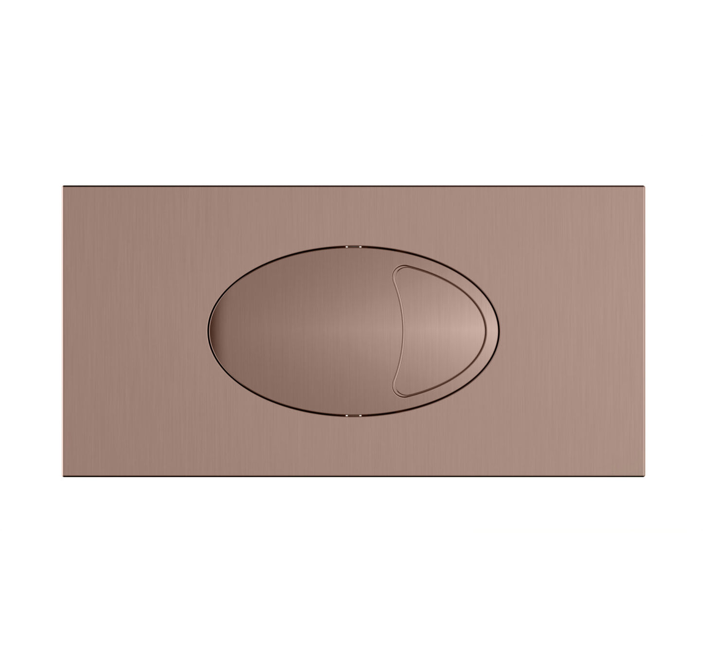 Large Dual Flush Plate & Access Panel 240x120mm
