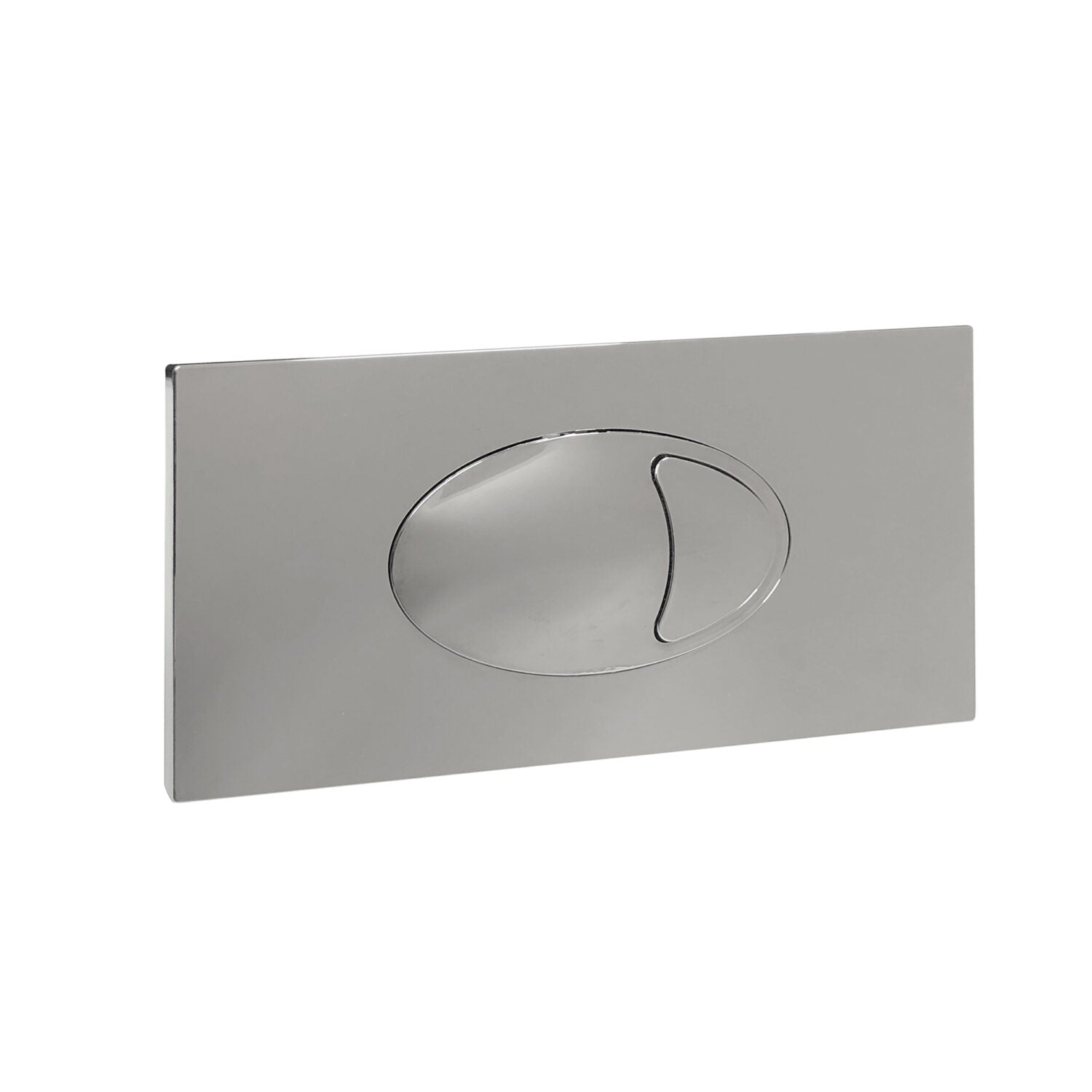 Large Chrome Dual Flush Plate